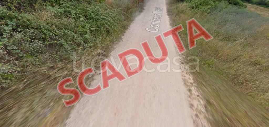 appartamento in vendita a Massignano