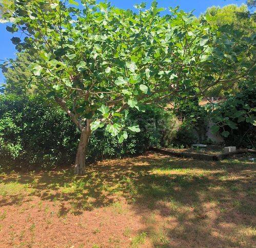 casa indipendente in vendita a Massignano