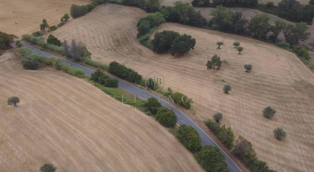 terreno agricolo in vendita a Massignano