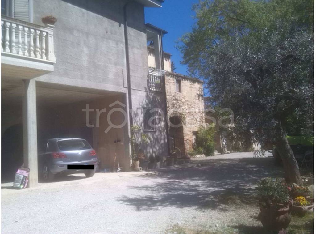 terreno agricolo in vendita a Massignano