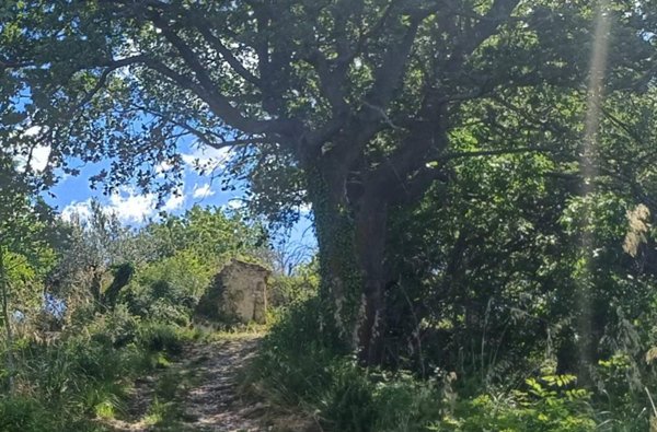 casa indipendente in vendita a Massignano in zona Villa Santi