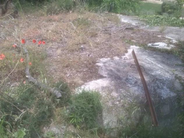 casa indipendente in vendita a Massignano