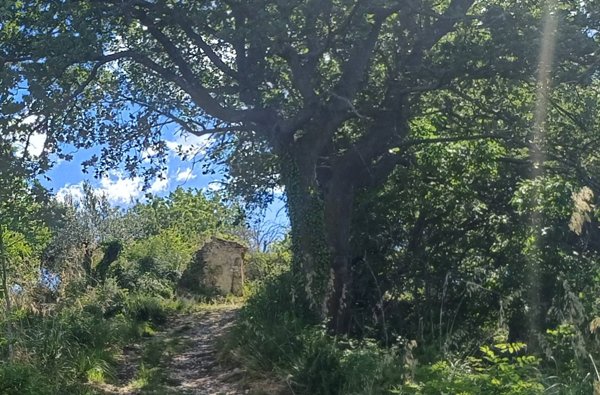casa indipendente in vendita a Massignano in zona Villa Santi