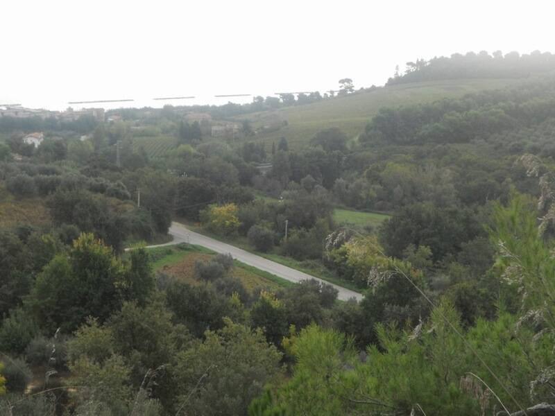 terreno in vendita a Massignano