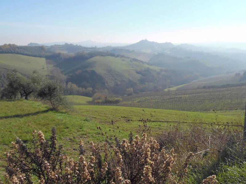 terreno edificabile in vendita a Monsampolo del Tronto