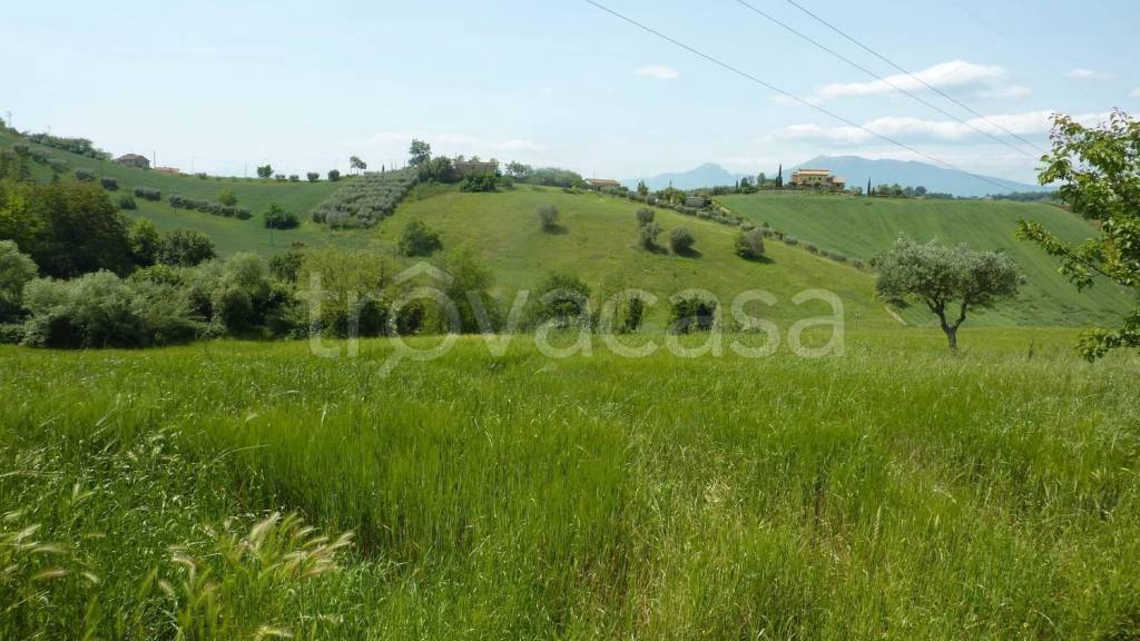 casa indipendente in vendita a Monsampolo del Tronto