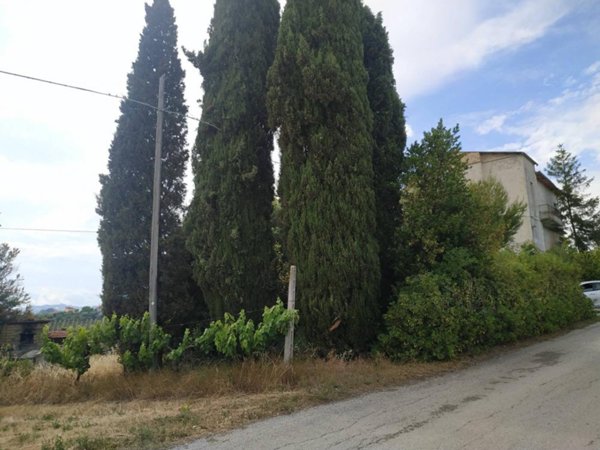 casa indipendente in vendita a Monsampolo del Tronto
