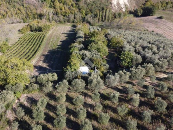 terreno agricolo in vendita a Monsampolo del Tronto