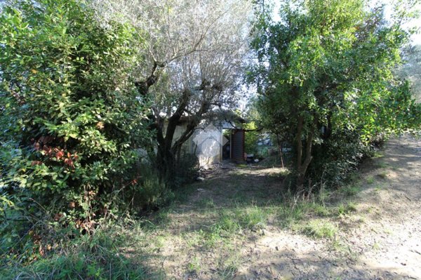 terreno agricolo in vendita a Monsampolo del Tronto