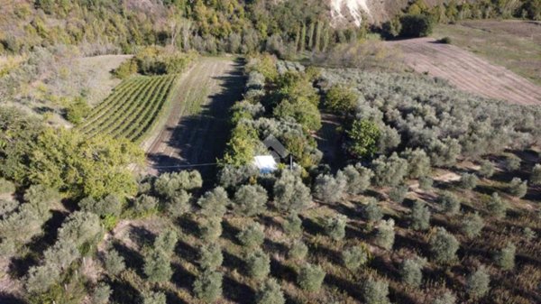 terreno agricolo in vendita a Monsampolo del Tronto