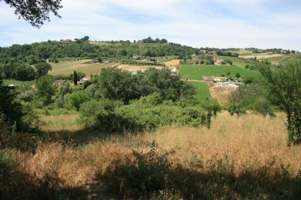 terreno agricolo in vendita a Monsampolo del Tronto
