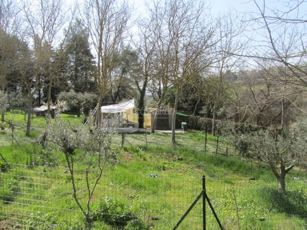 terreno agricolo in vendita a Monsampolo del Tronto