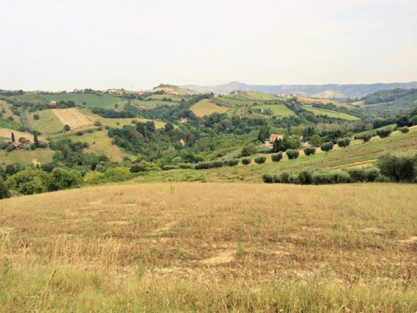 terreno agricolo in vendita a Monsampolo del Tronto