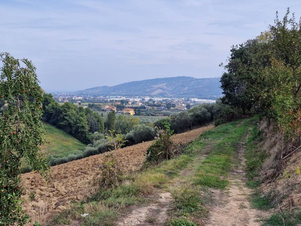 casa indipendente in vendita a Monsampolo del Tronto