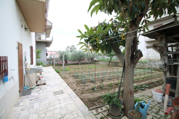 casa indipendente in vendita a Monsampolo del Tronto