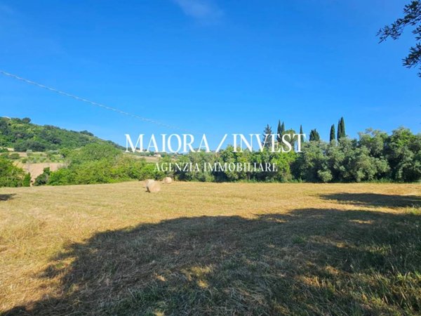 terreno agricolo in vendita a Monsampolo del Tronto