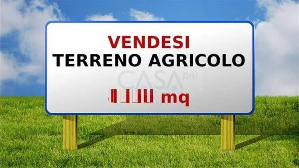 terreno agricolo in vendita a Monsampolo del Tronto