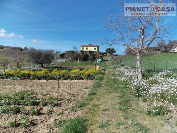 casa indipendente in vendita a Monsampolo del Tronto