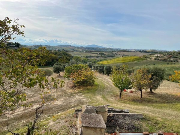 terreno agricolo in vendita a Monsampolo del Tronto