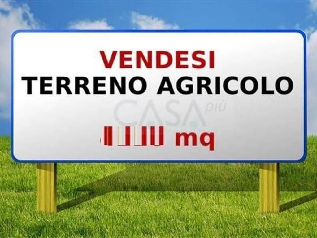 terreno agricolo in vendita a Monsampolo del Tronto