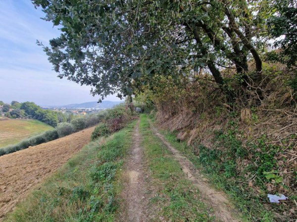 casa indipendente in vendita a Monsampolo del Tronto