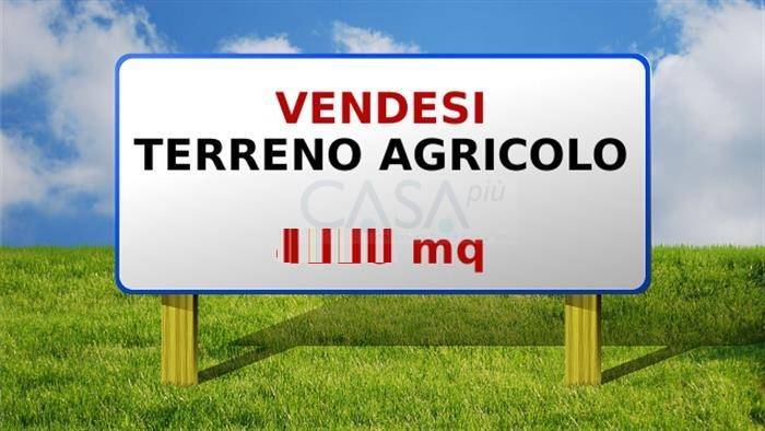 terreno agricolo in vendita a Monsampolo del Tronto