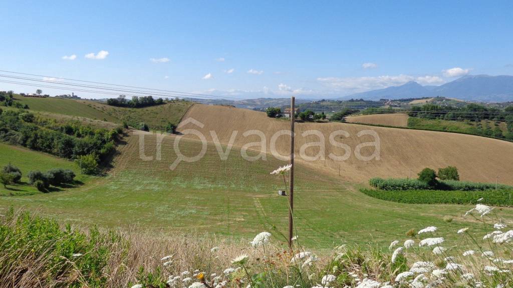 terreno agricolo in vendita a Monsampolo del Tronto