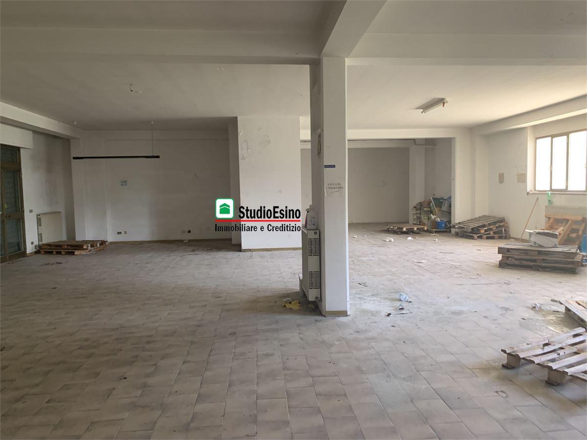 negozio in vendita a Monsampolo del Tronto in zona Stella