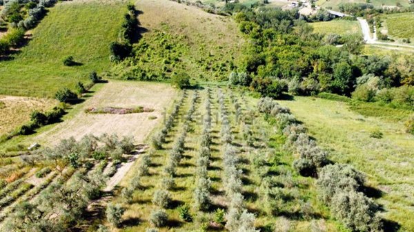 casa indipendente in vendita a Monsampolo del Tronto