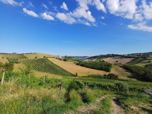 ufficio in vendita a Monsampolo del Tronto