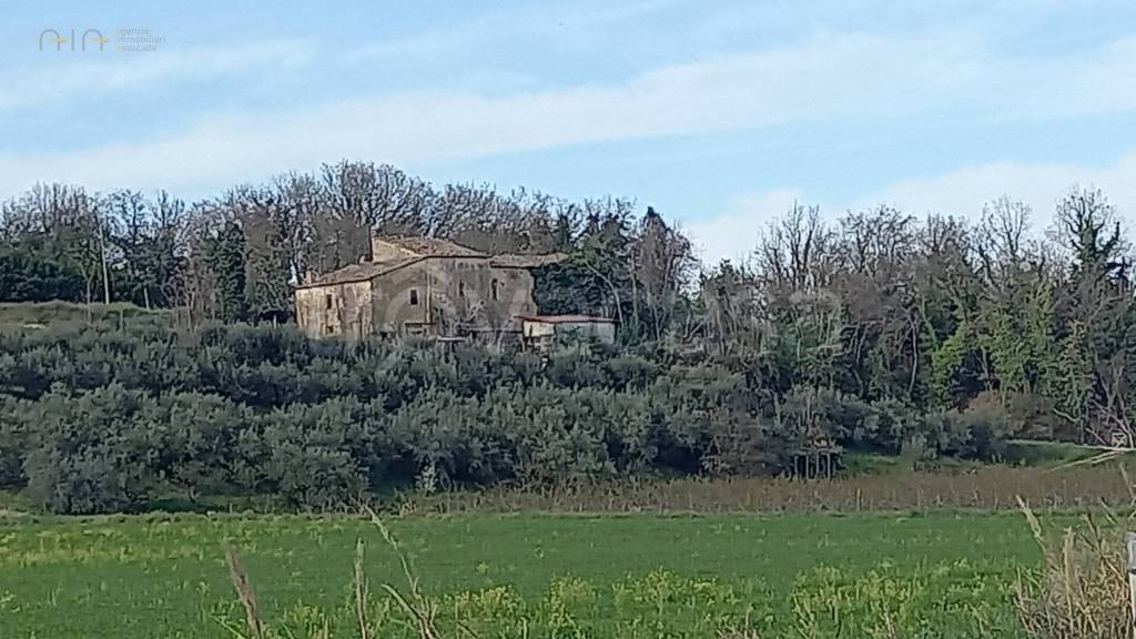 casa indipendente in vendita a Montalto delle Marche