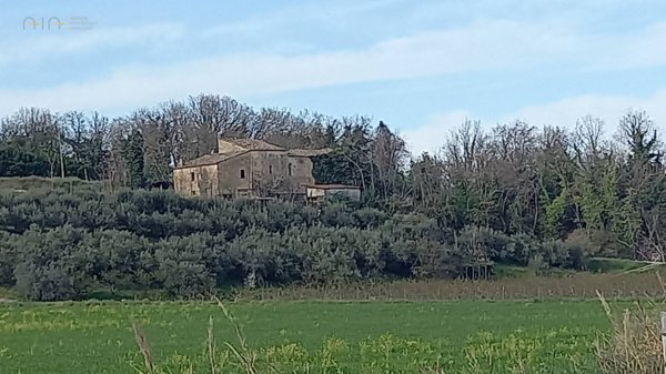 casa indipendente in vendita a Montalto delle Marche