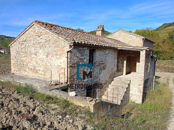 esavano in vendita a Montalto delle Marche