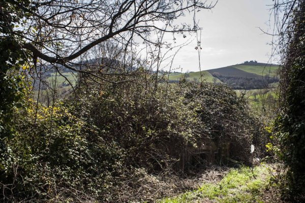 rudere in vendita a Montedinove