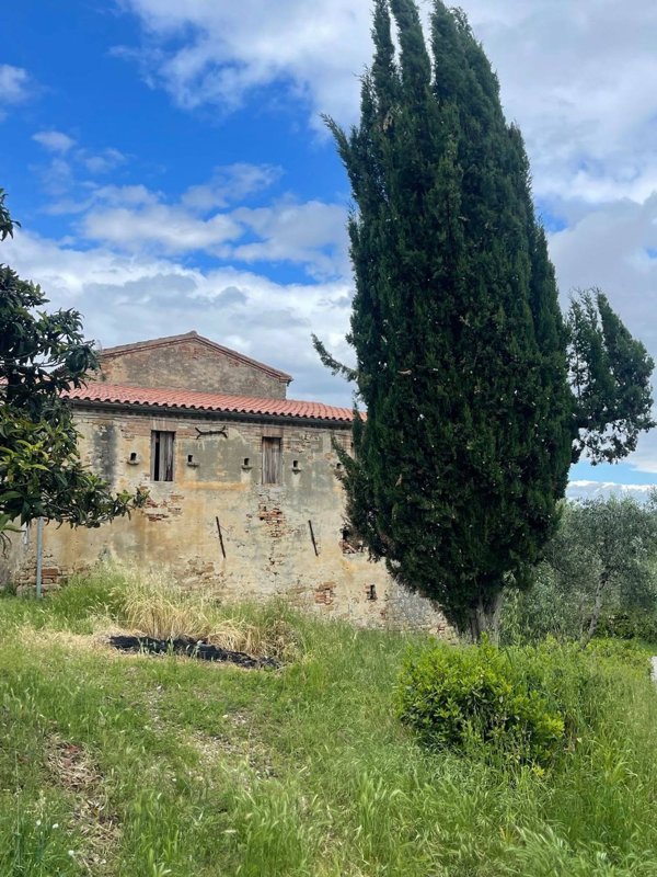 pentavano in vendita a Montedinove