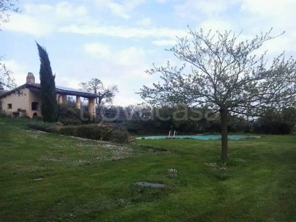 casa indipendente in vendita a Montedinove