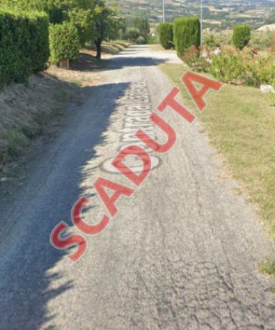 terreno agricolo in vendita a Montedinove
