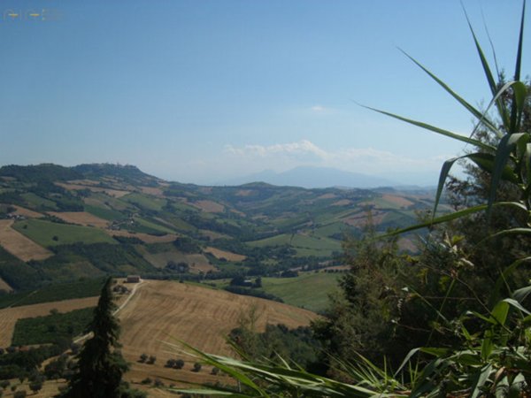 casa indipendente in vendita a Montefiore dell'Aso