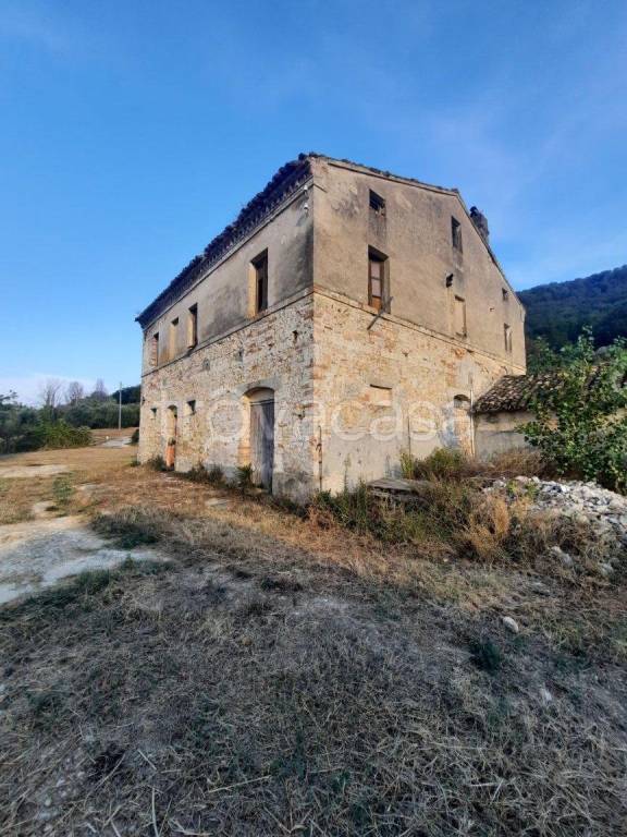 casa indipendente in vendita a Montefiore dell'Aso