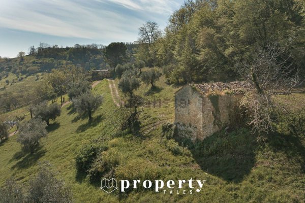 pentavano in vendita a Montefiore dell'Aso