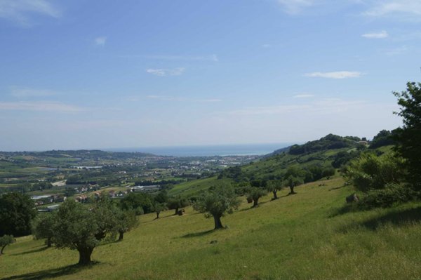 casa indipendente in vendita a Montefiore dell'Aso