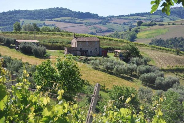 casa indipendente in vendita a Montefiore dell'Aso