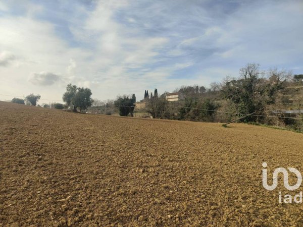 terreno agricolo in vendita a Montefiore dell'Aso