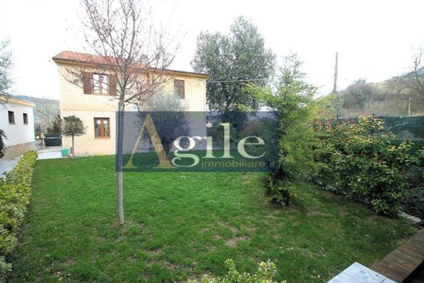 casa indipendente in vendita a Montefiore dell'Aso