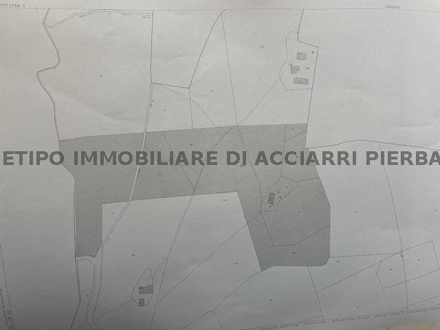 casa indipendente in vendita a Montefiore dell'Aso