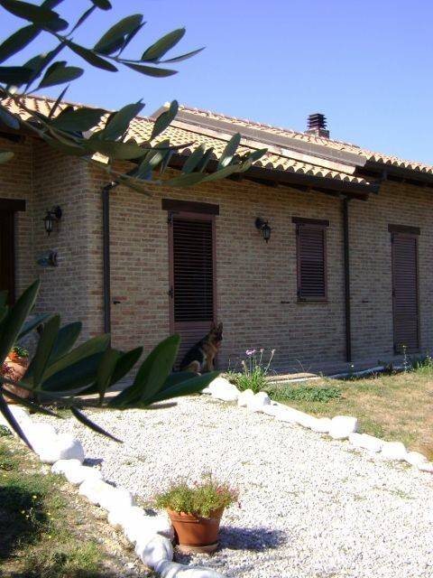 casa indipendente in vendita a Montefiore dell'Aso
