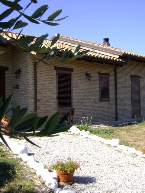 casa indipendente in vendita a Montefiore dell'Aso