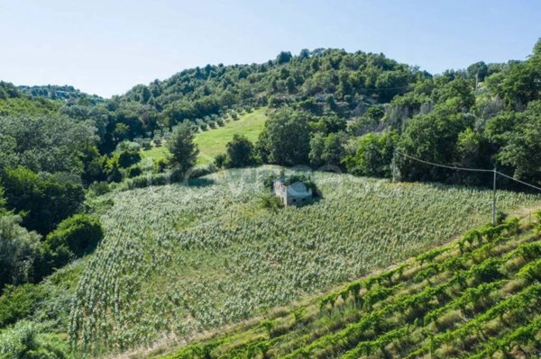 casa indipendente in vendita a Montefiore dell'Aso