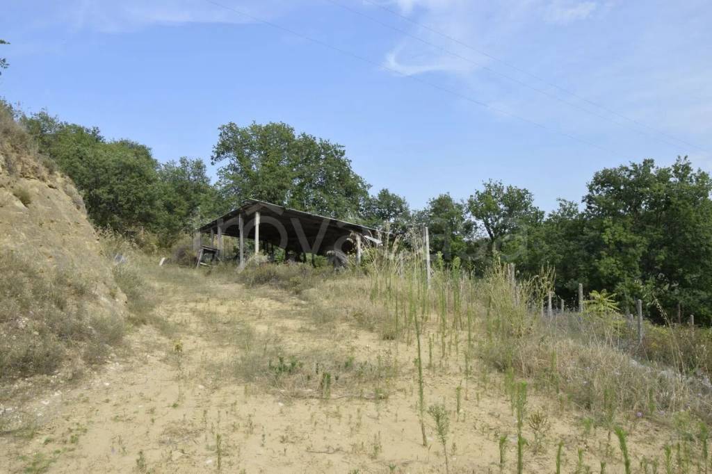 casa indipendente in vendita a Montefiore dell'Aso