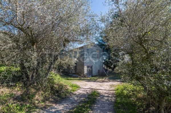 casa indipendente in vendita a Montefiore dell'Aso